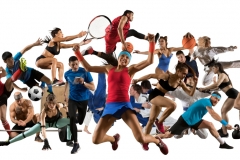 SportsCrowd